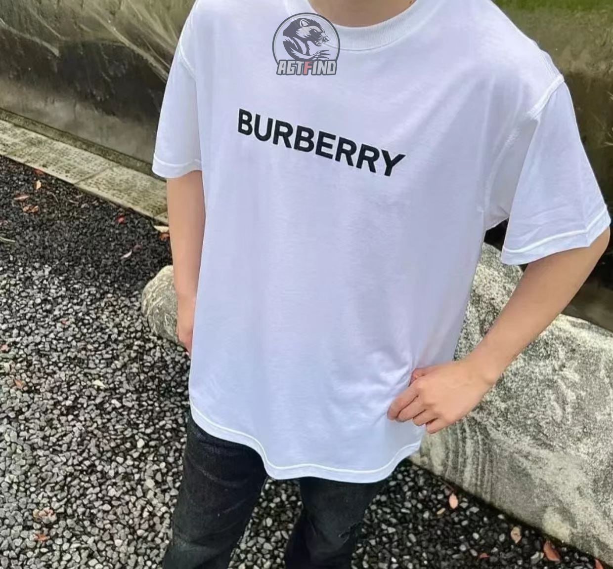 Burberry T-shirt  tee (20+)