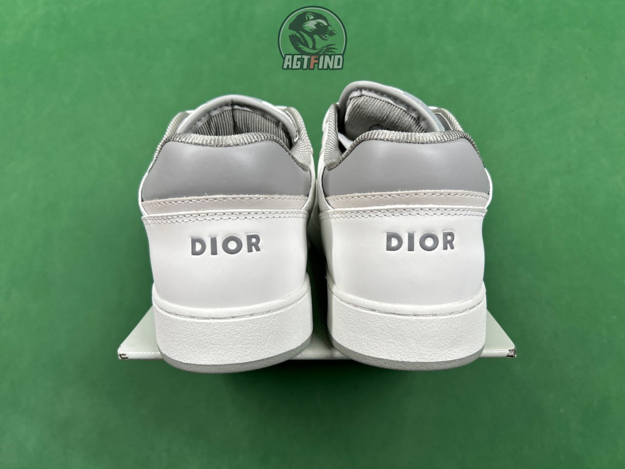 Dior B27 Shoes Sneakers #Dior_AGT #Shoes_AGT