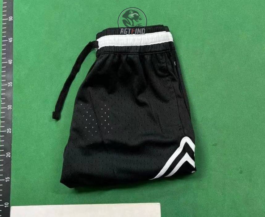 Air Jordan Shorts