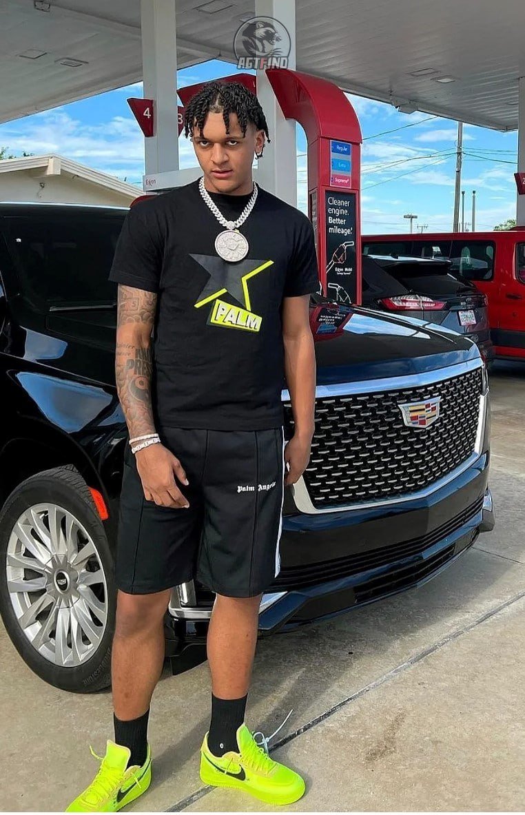 Angel Palm Shorts Pants