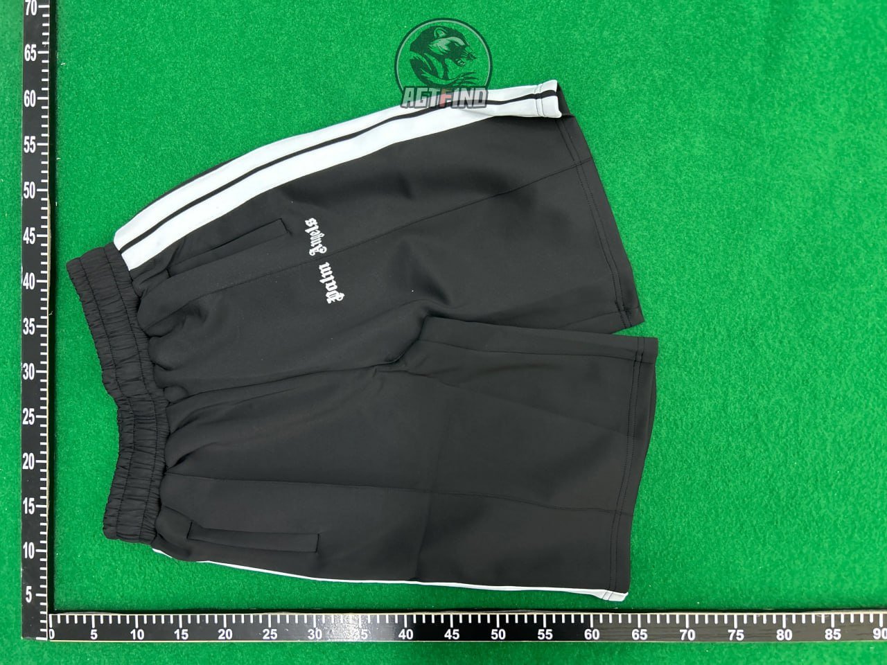 Angel Palm Shorts Pants