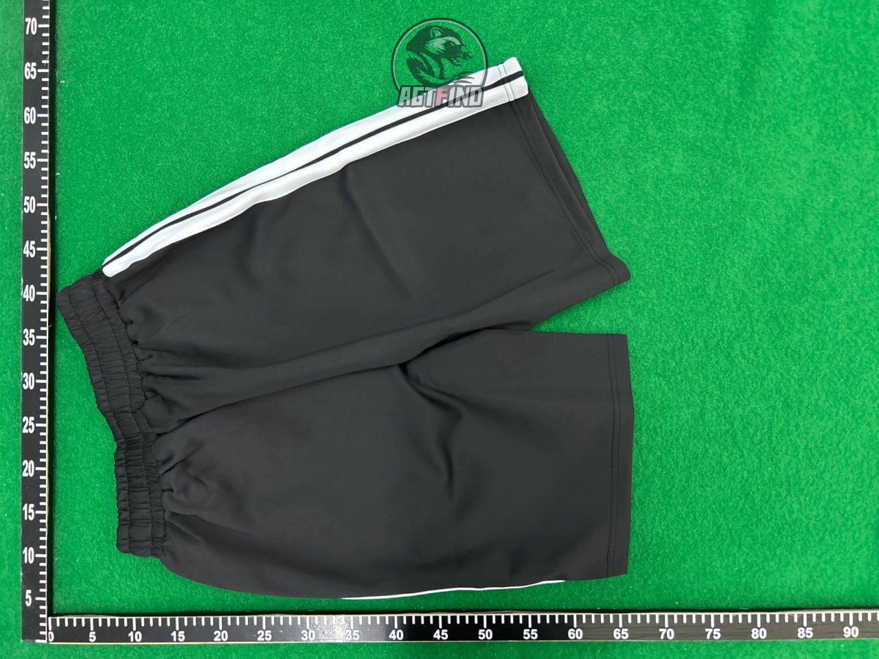 Angel Palm Shorts Pants