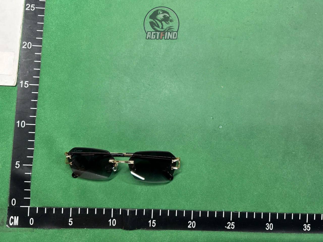 Cartier Sunglasses