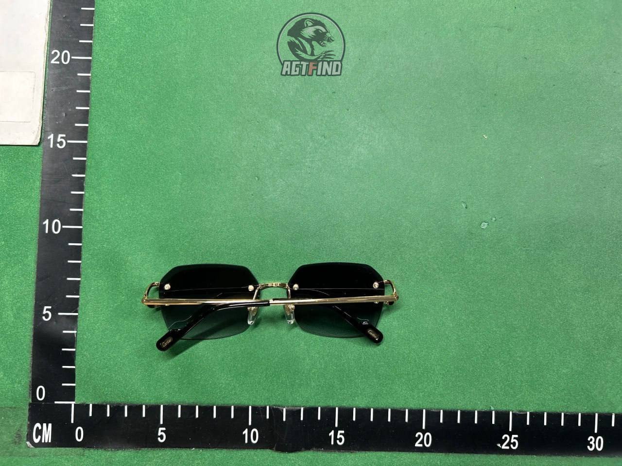 Cartier Sunglasses