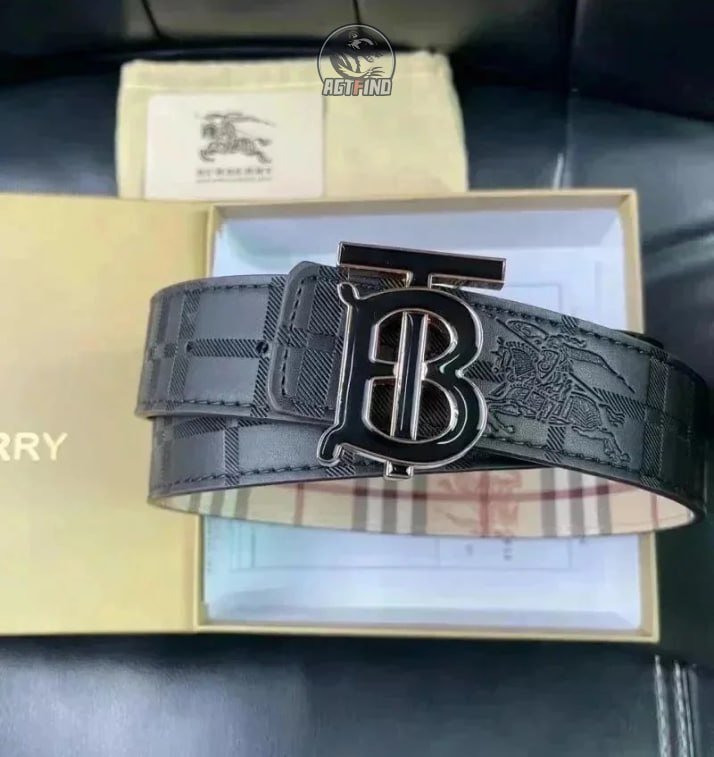 Louis Vuitton Burberry belt