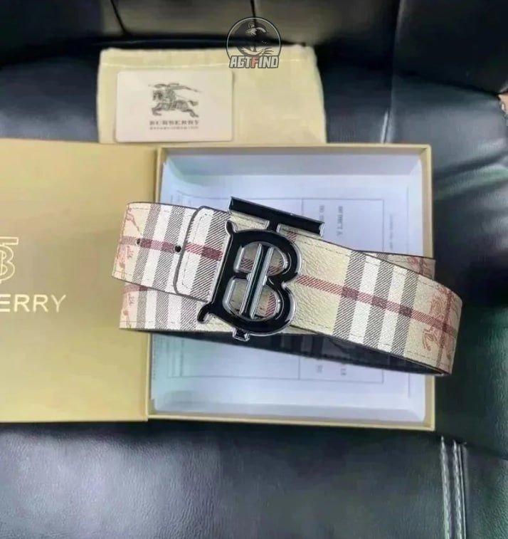 Louis Vuitton Burberry belt