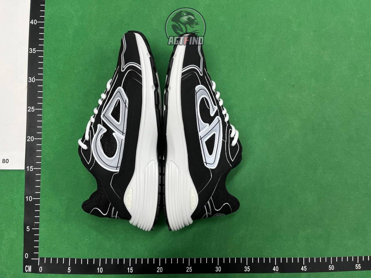 Dior sneakers b22 b30