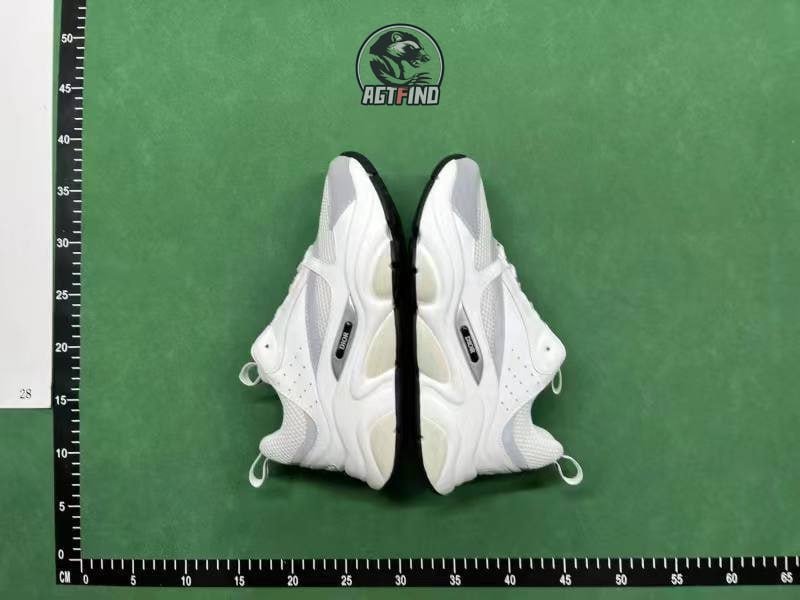 Dior sneakers b22 b30