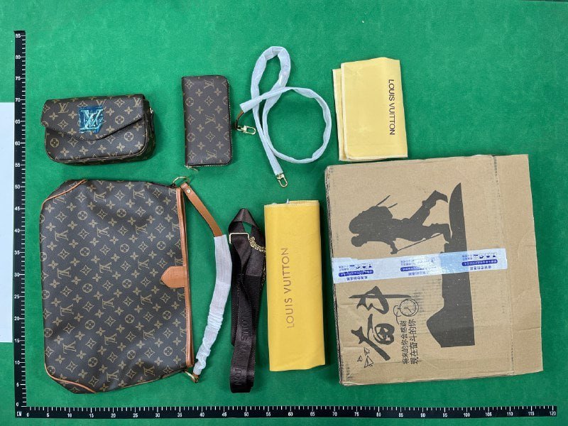 Louis Vuitton LV genuine leather bags